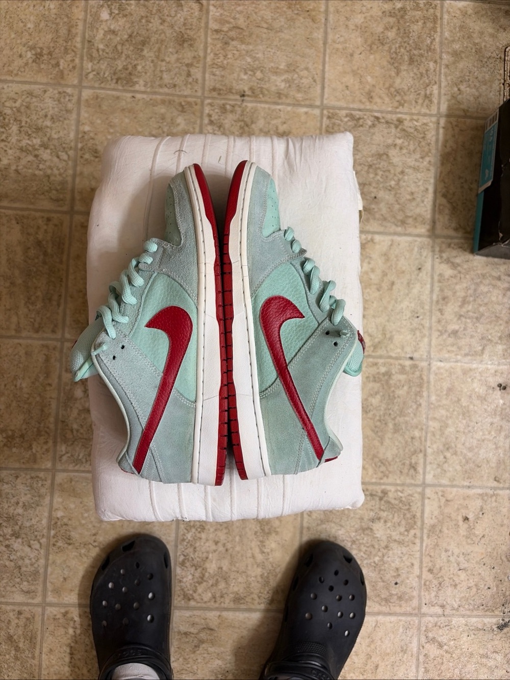 Nike sb